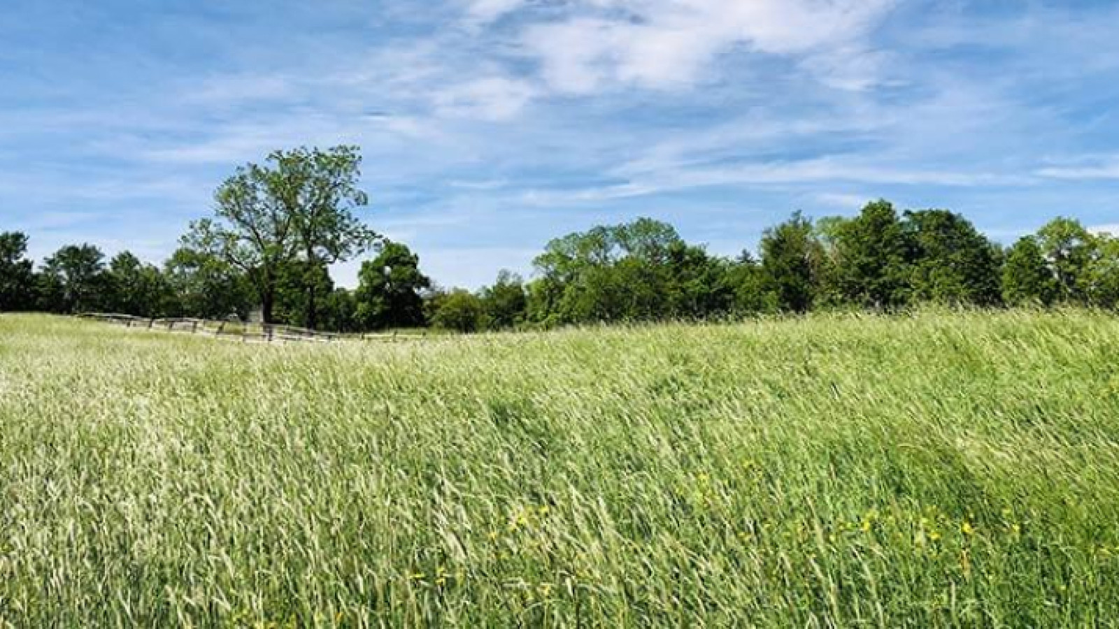 Terrain constructible de 526m2 à Saint-Laurent-en-Gâtines
