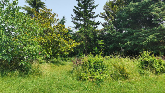 terrain savo 3.jpg