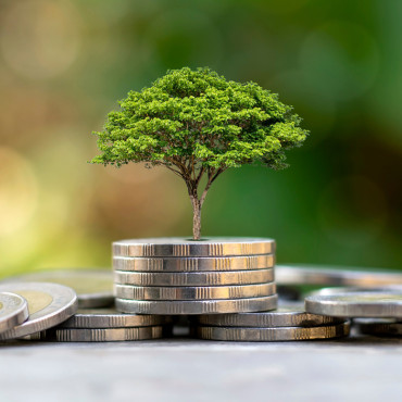Investissement-locatif-4.jpg