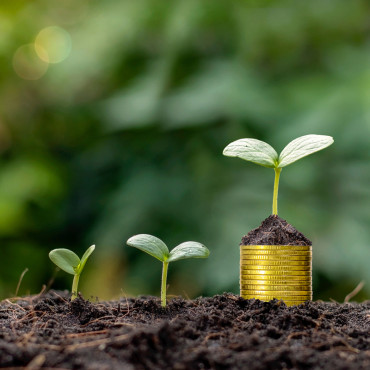 Investissement-locatif-5.jpg
