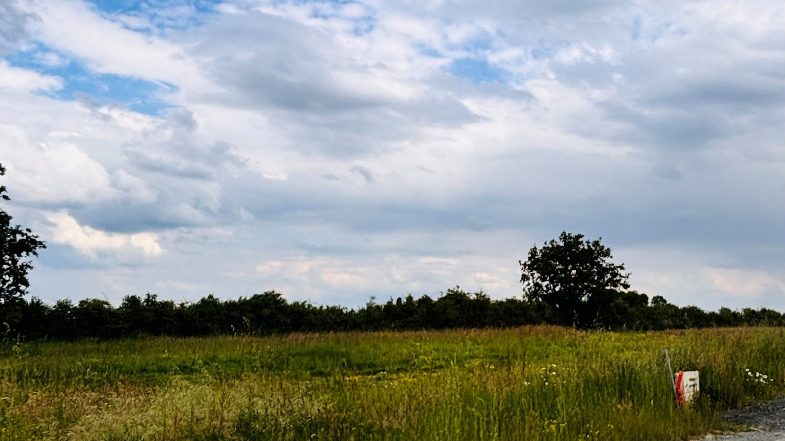 Terrain constructible de 554m2 à Champtocé-sur-Loire