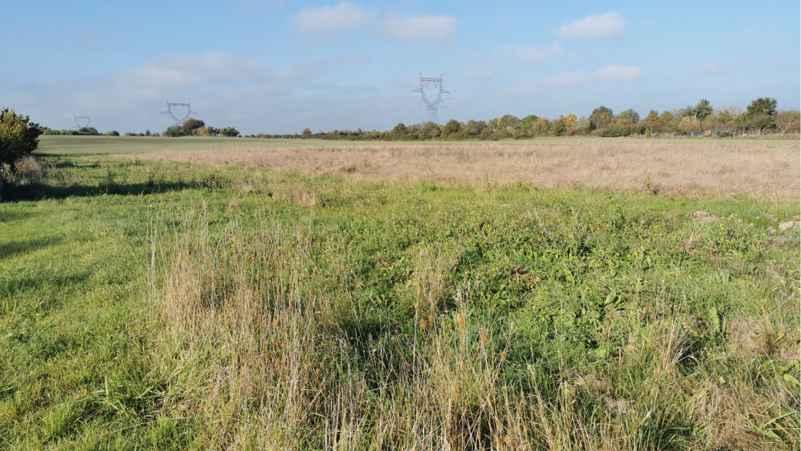 Terrain constructible de 407m2 à Pernay
