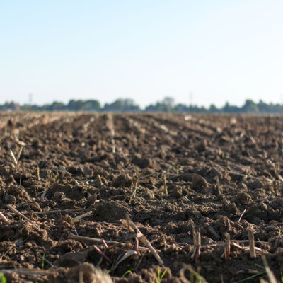 Viabilisation d’un terrain : quelles démarches ?