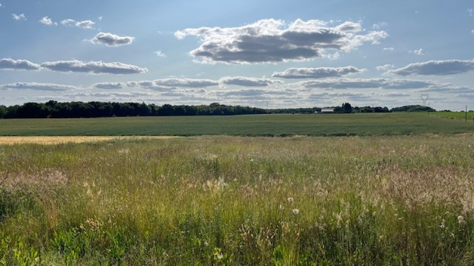 Terrain constructible de 1249m2 à Rouziers-de-Touraine