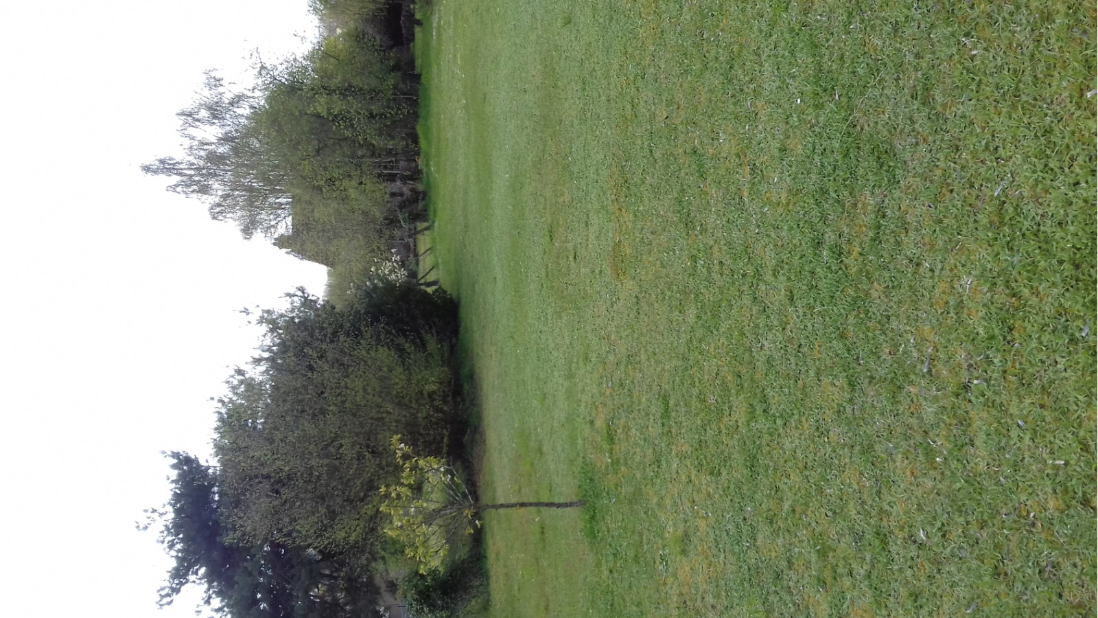 Terrain constructible de 432m2 à Corbeil-Essonnes