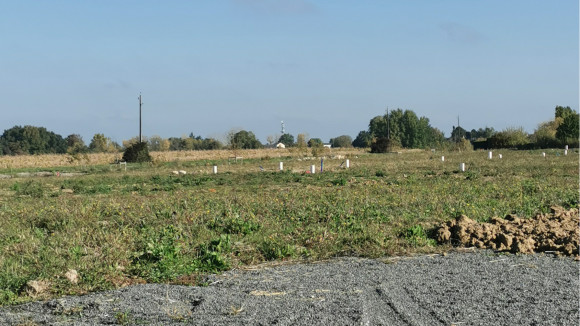 luynes 11.jpg