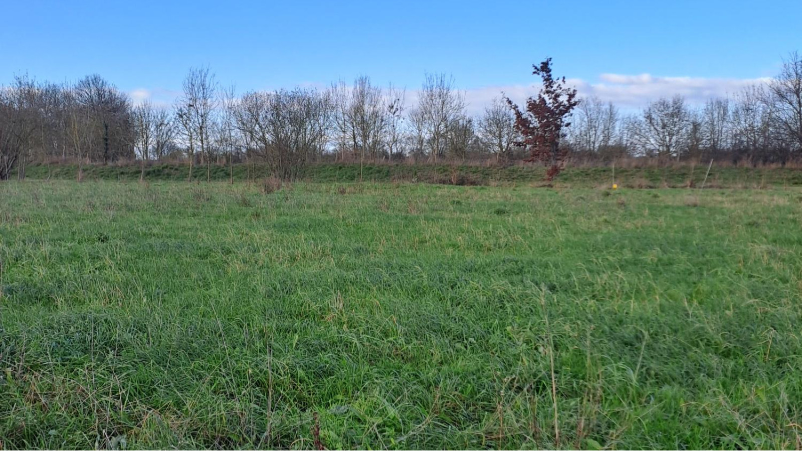 Terrain constructible de 465m2 à Mauges-sur-Loire