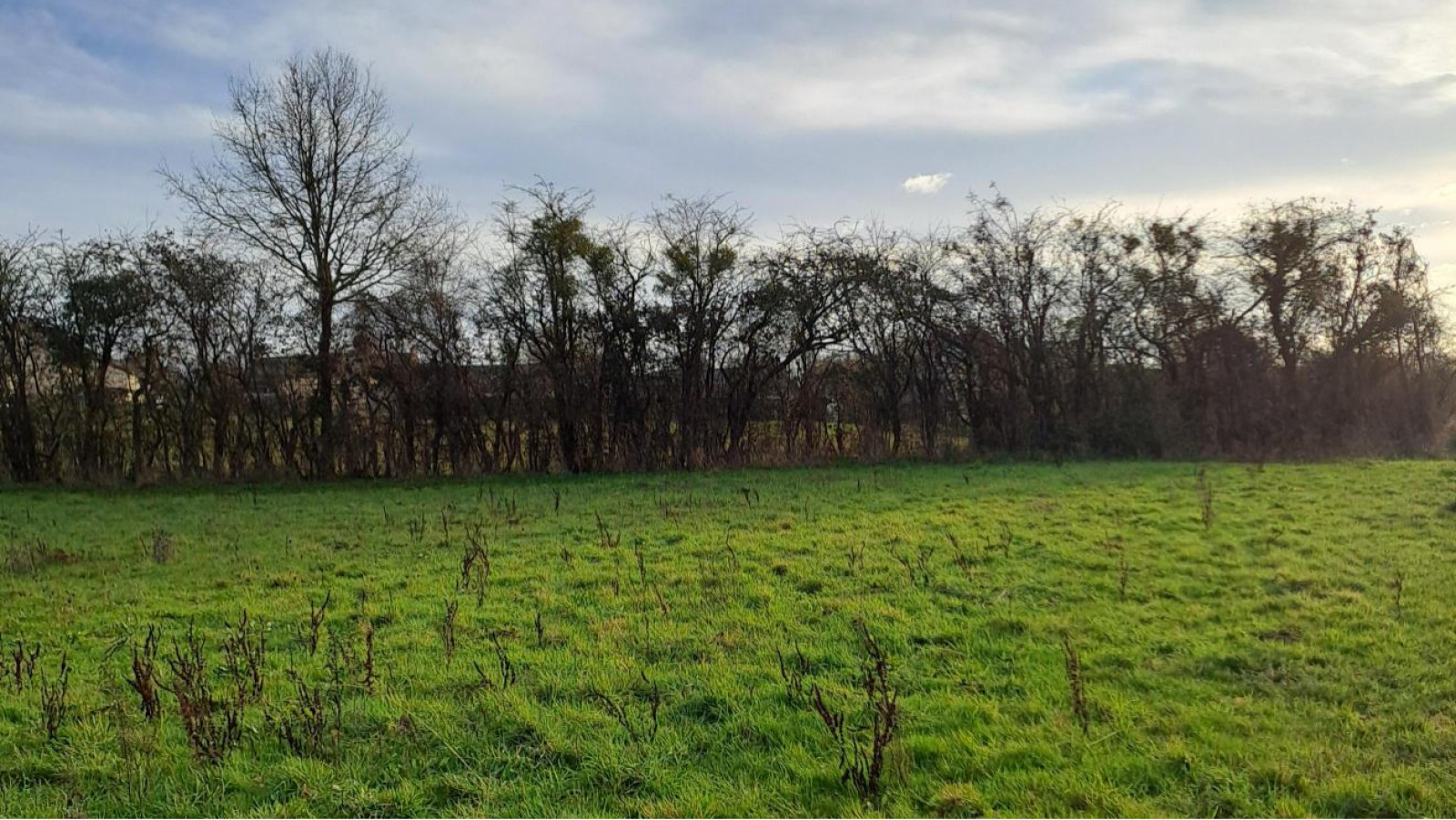 Terrain constructible de 417m2 à Val d'Erdre-Auxence