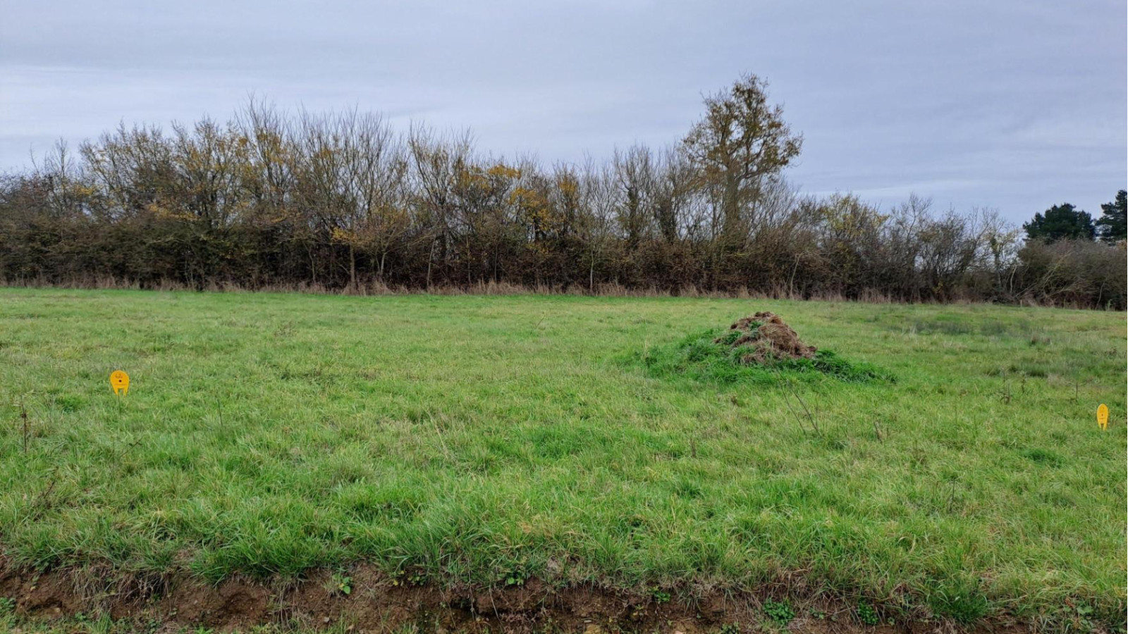 Terrain constructible de 500m2 à Ingrandes-le-Fresne-sur-Loire