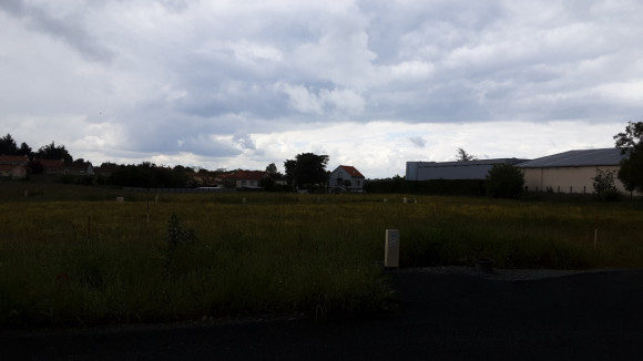 002-VT 20240521-1716292638250.jpeg