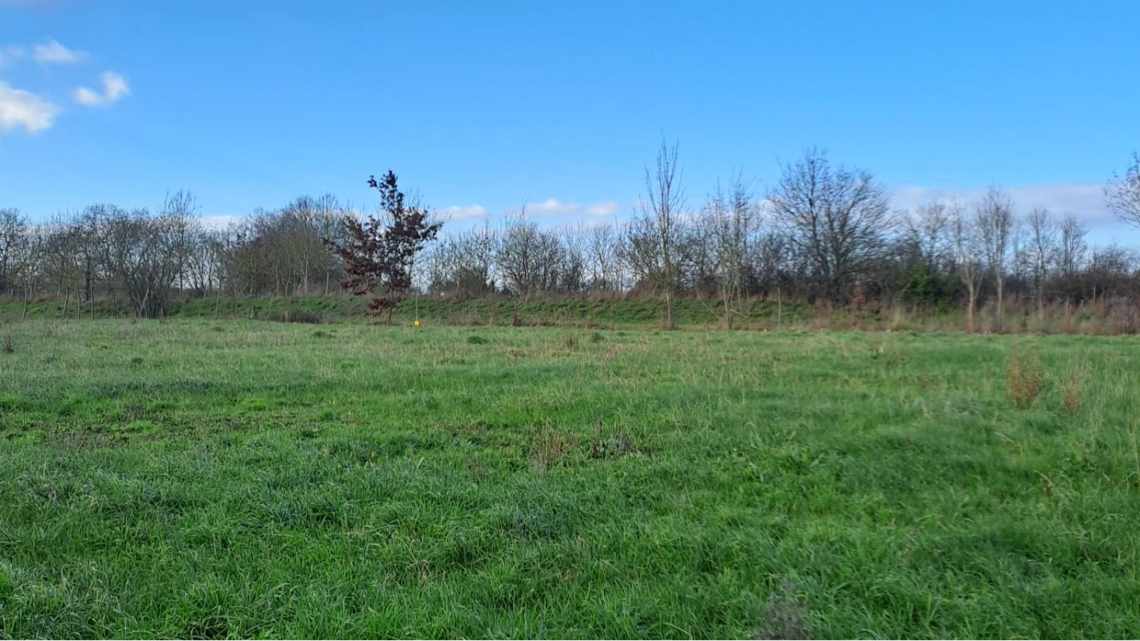 Terrain constructible de 1303m2 à Beaufort-en-Anjou