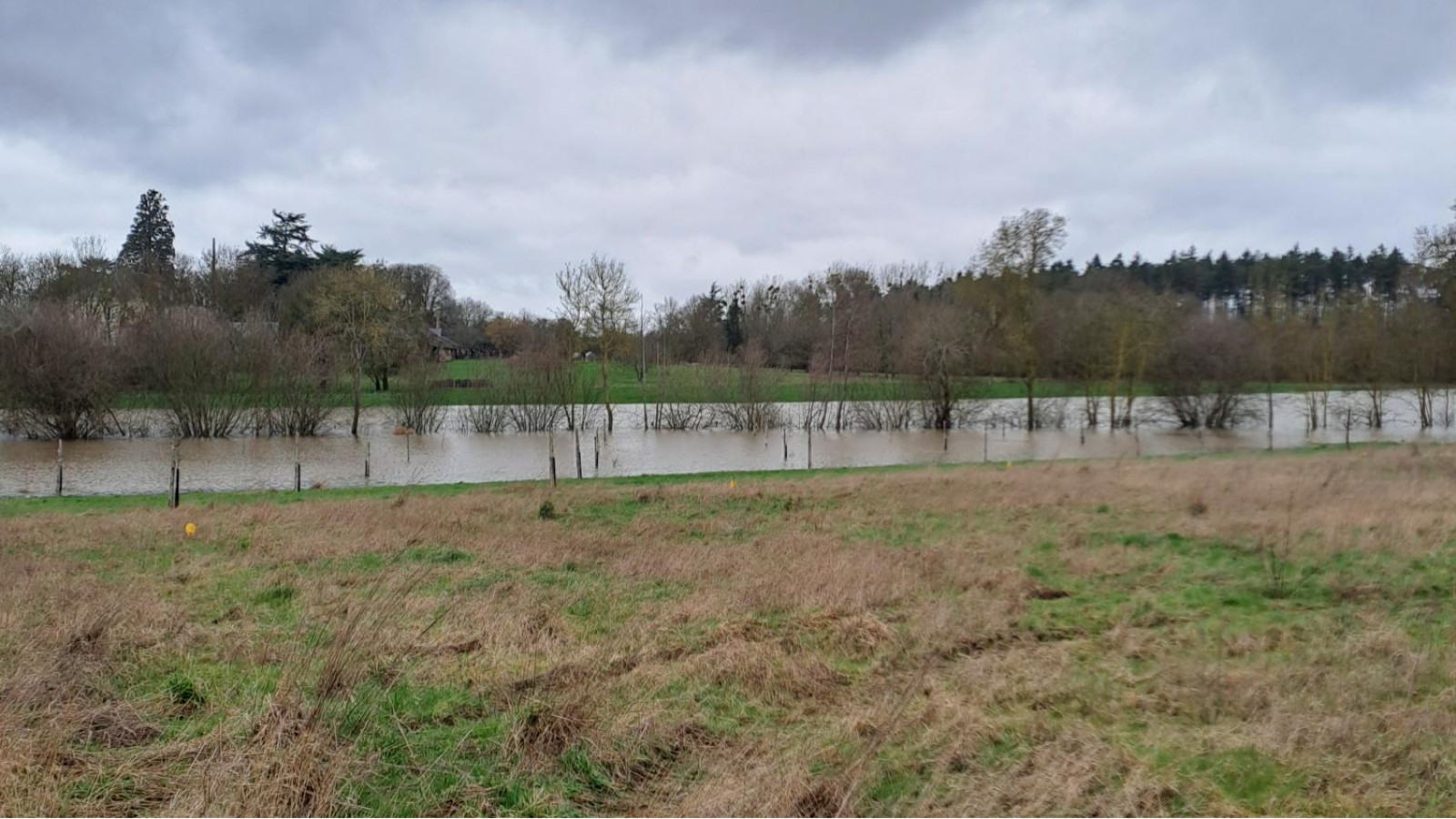 Terrain constructible de 665m2 à Le Lion-d'Angers