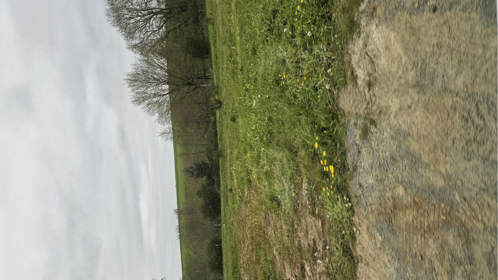 Terrain constructible de 437m2 à Saint-Laurent-sur-Sèvre
