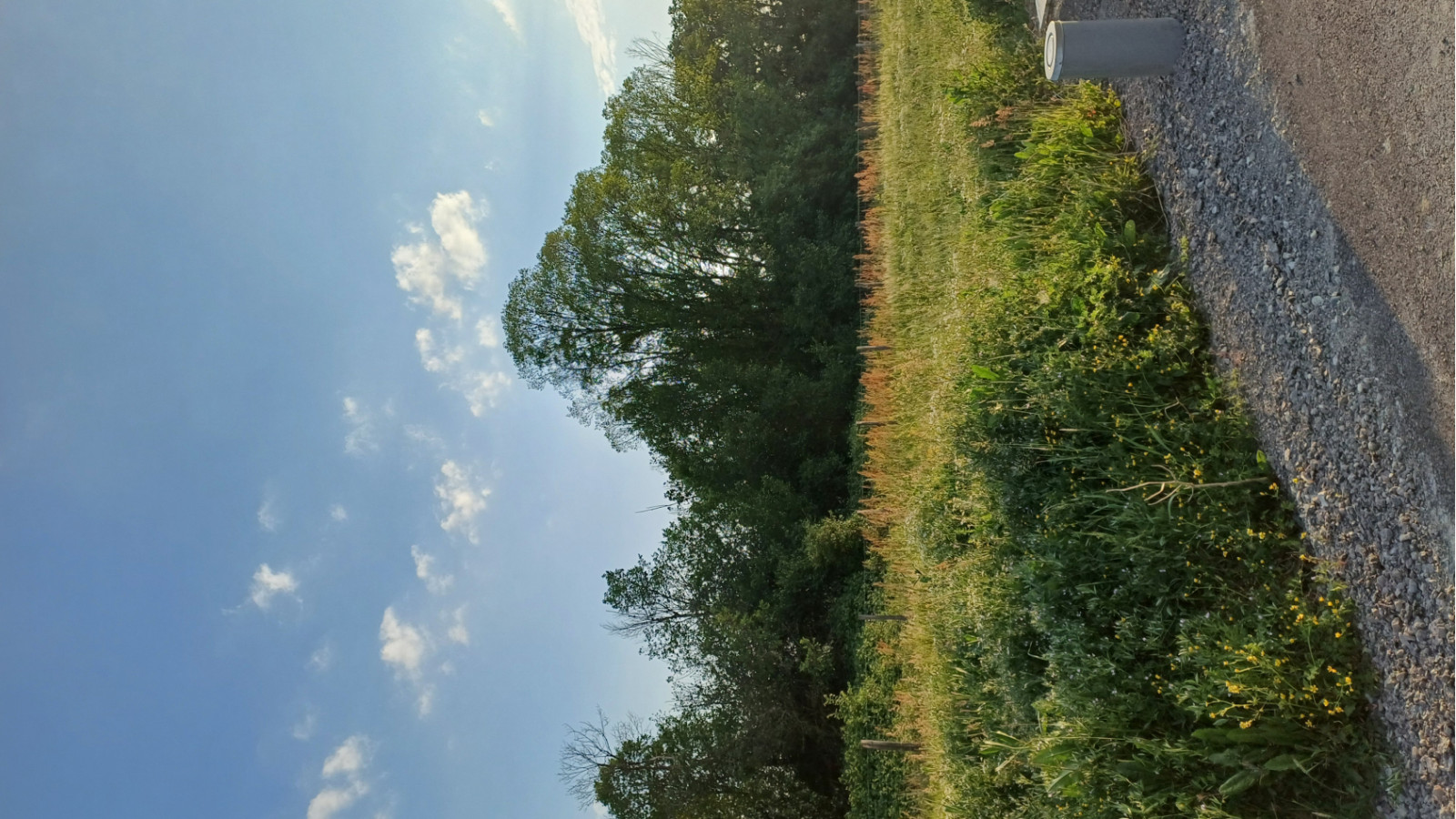 Terrain constructible de 335m2 à Bellevigne-en-Layon