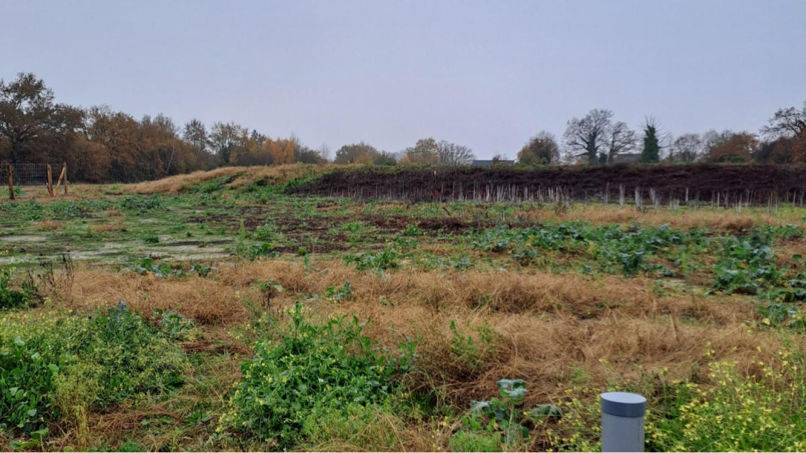 Terrain constructible de 446m2 à Segré-en-Anjou Bleu