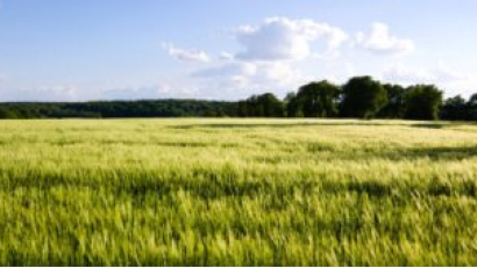 Terrain constructible de 840m2 à Cerelles