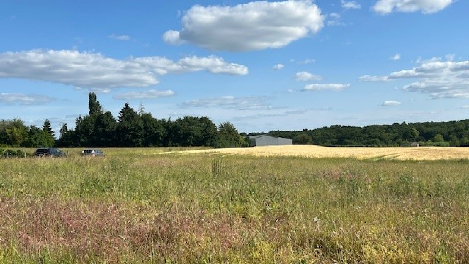 Terrain constructible de 971m2 à Rouziers-de-Touraine