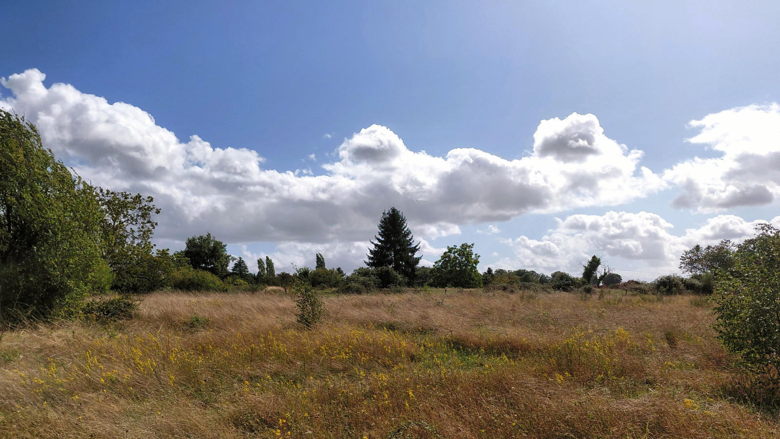 Terrain constructible de 426m2 à Nouzilly
