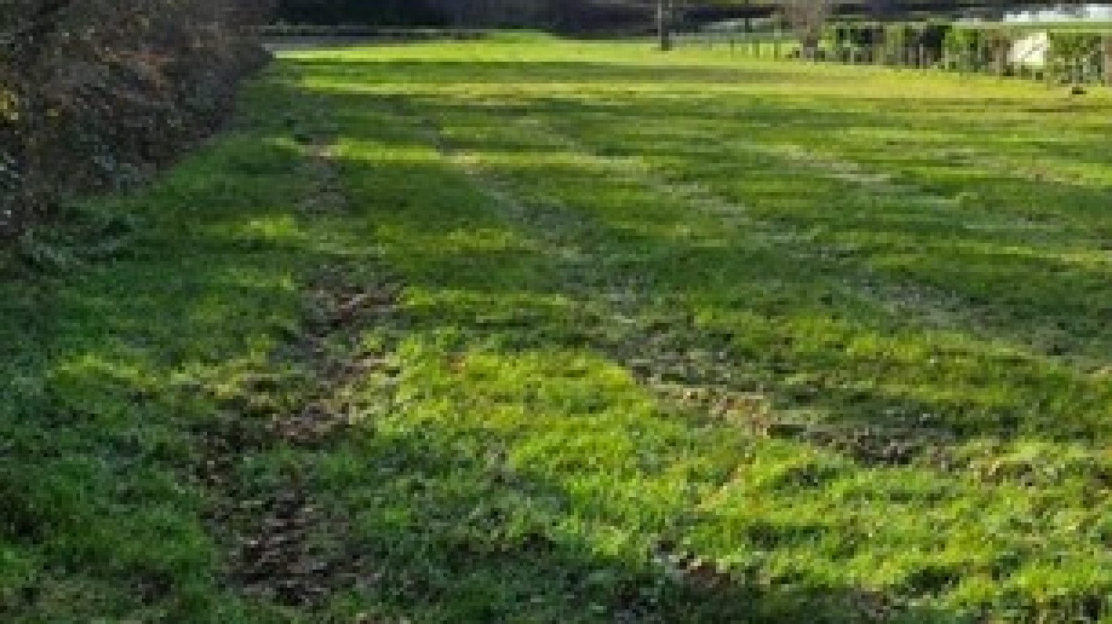 Terrain constructible de 393m2 à Luynes