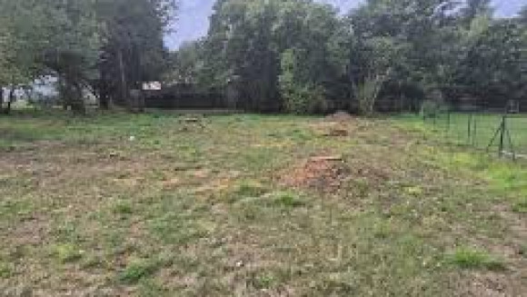 TERRAIN 5.jpg