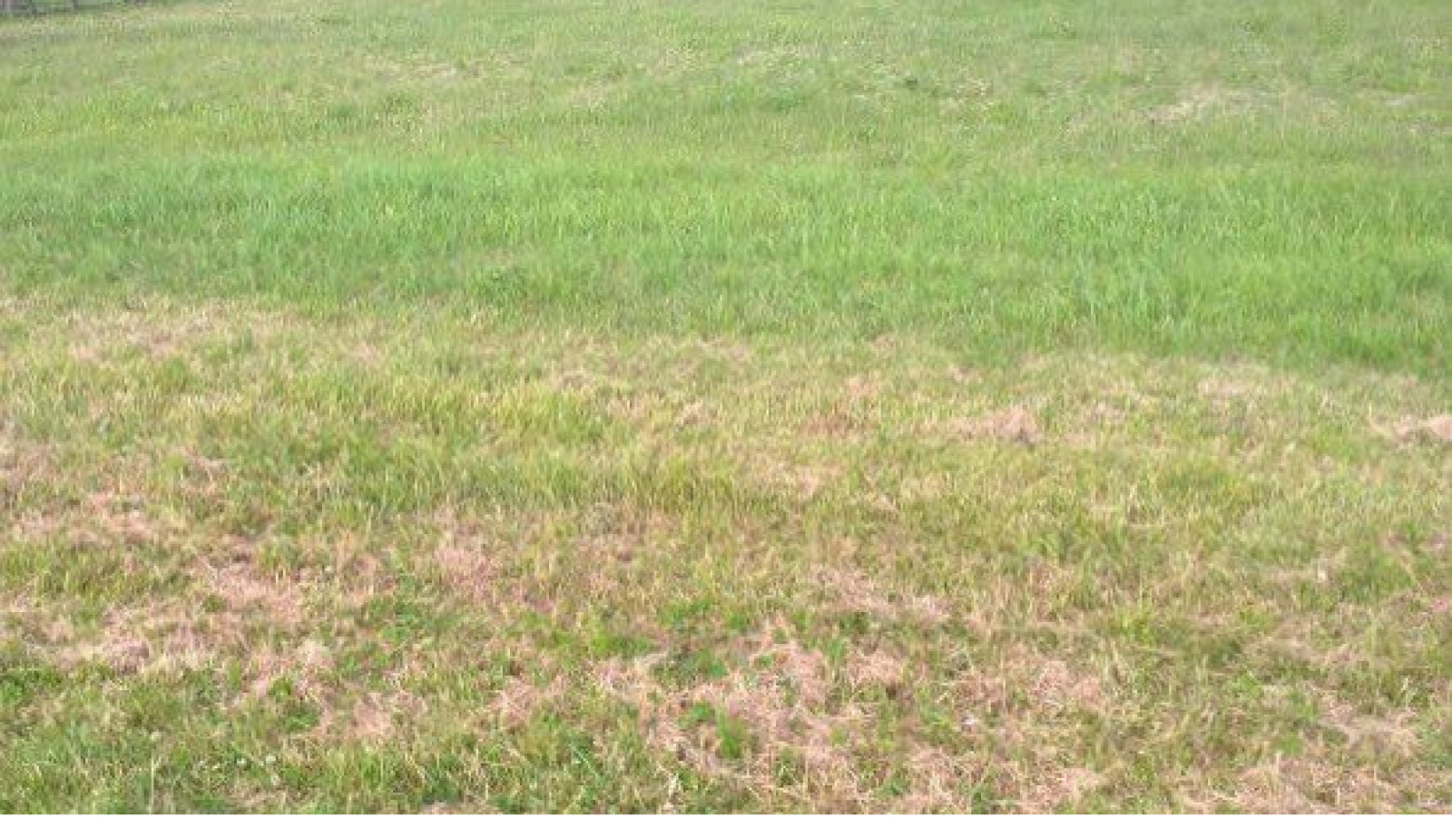 Terrain constructible de 950m2 à Ligré