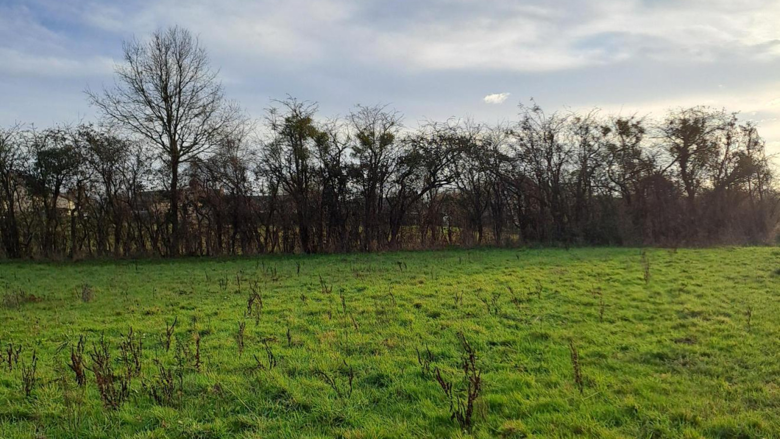 Terrain constructible de 505m2 à Soulaire-et-Bourg
