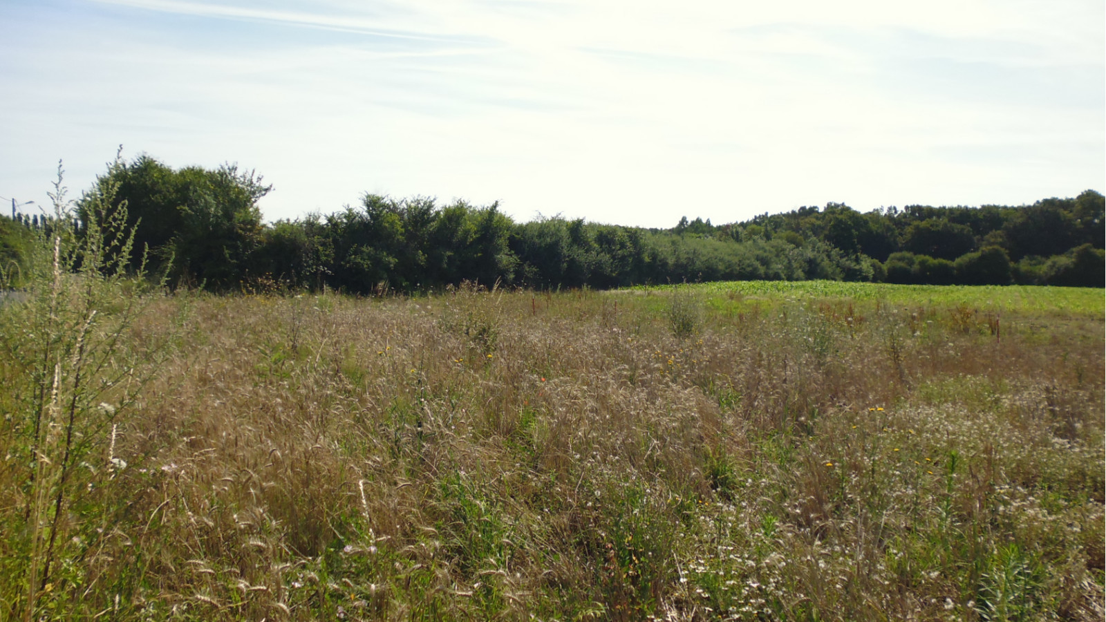 Terrain constructible de 1582m2 à Saint-Hilaire-sur-Puiseaux
