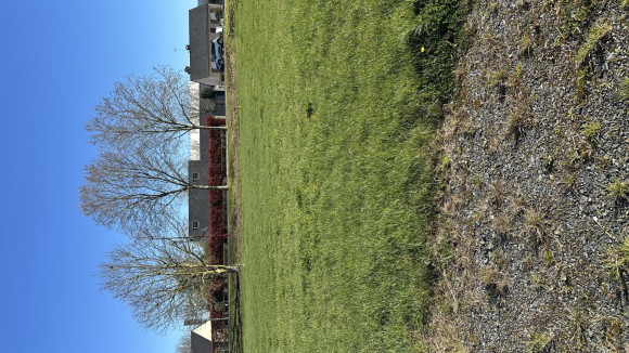 Lot 27 Daumeray.jpg