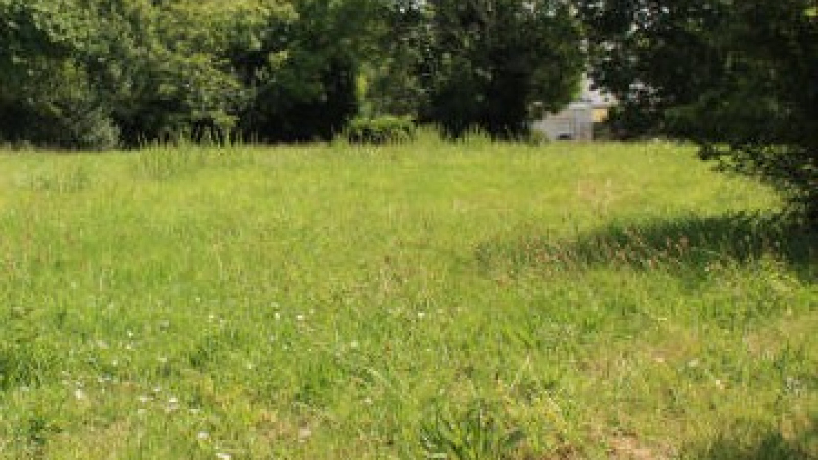 Terrain constructible de 907m2 à Saint-Cyr-sur-Loire
