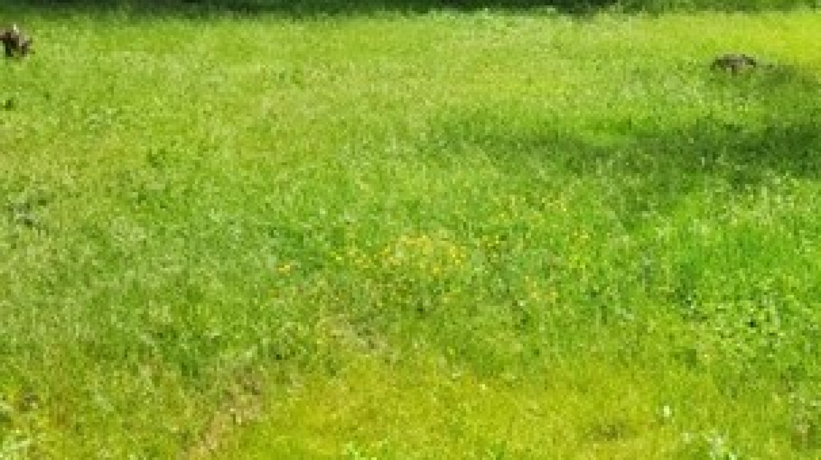 Terrain constructible de 800m2 à Fondettes