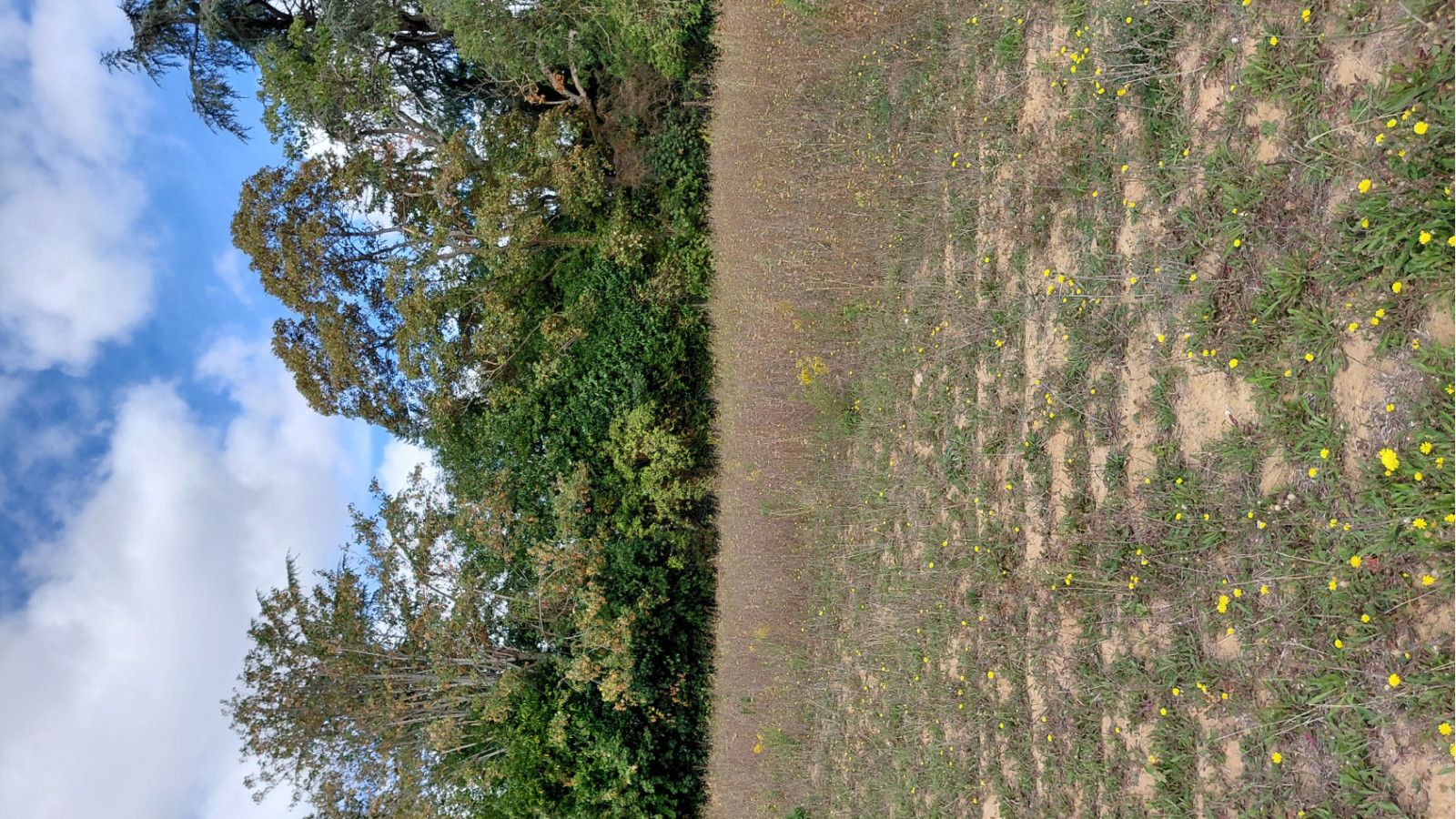 Terrain constructible de 451m2 à Longuesse