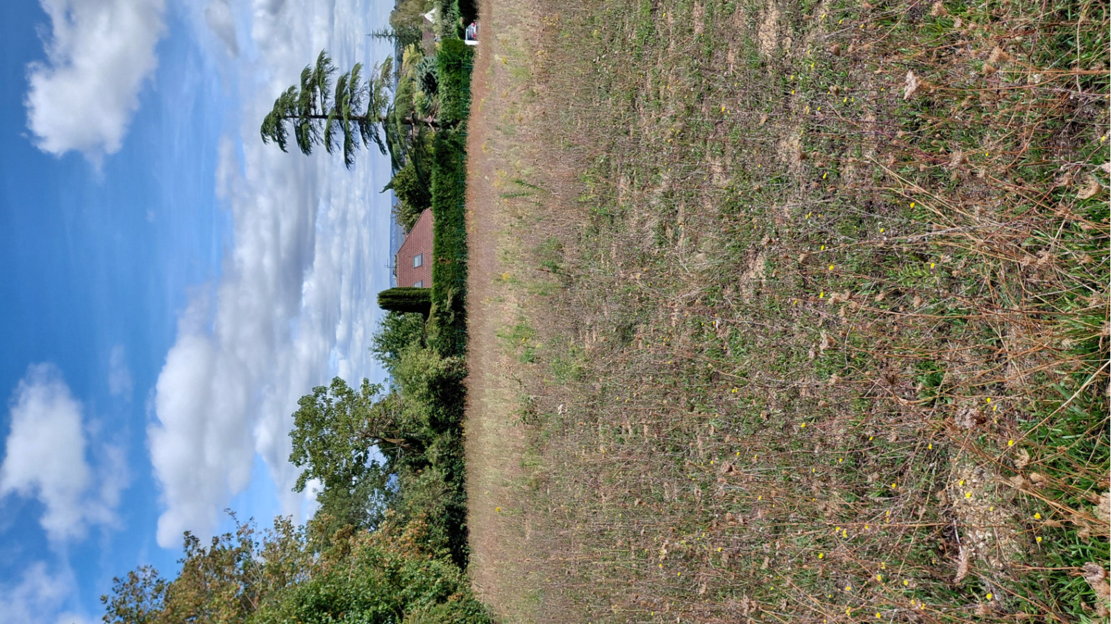 Terrain constructible de 529m2 à Bouafle