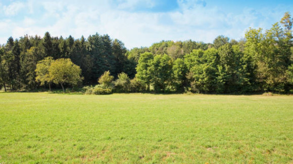 TERRAIN.jpg