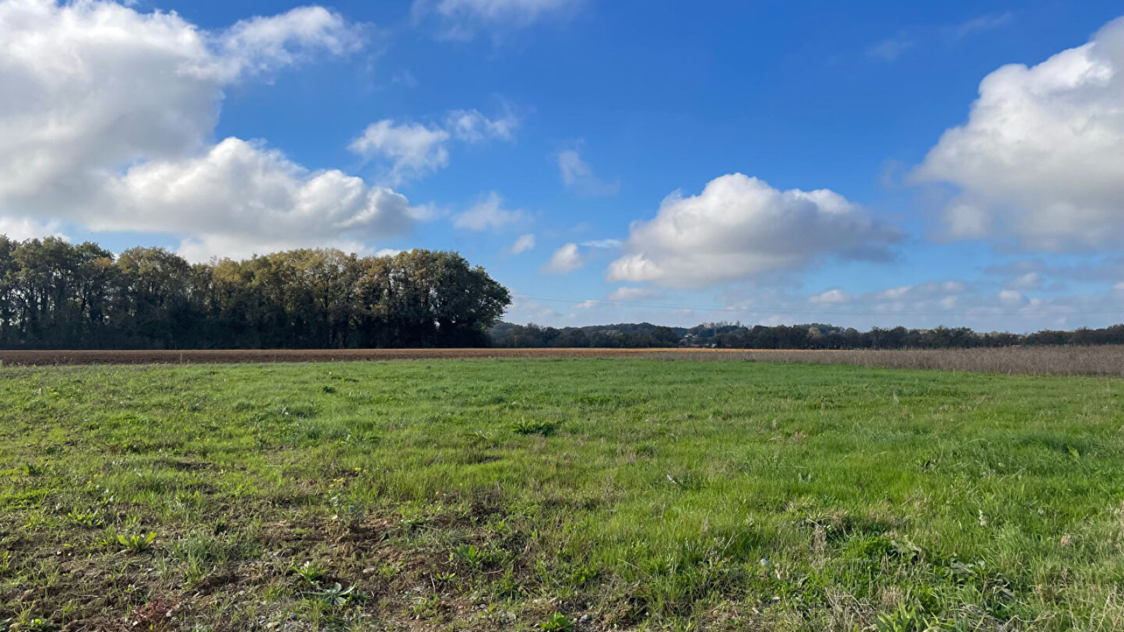 Terrain constructible de 481m2 à Béruges