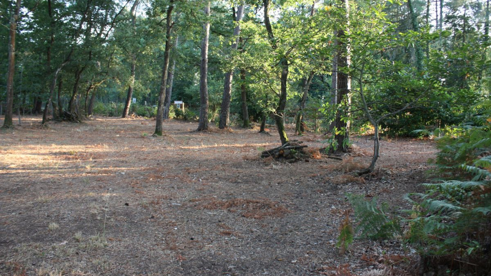 Terrain constructible de 1150m2 à Beaumont-en-Véron
