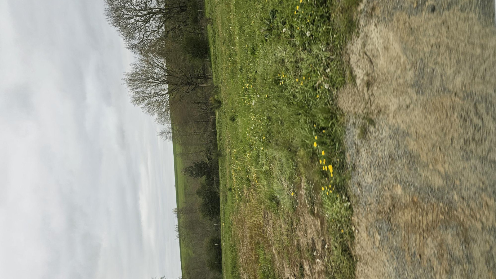 Terrain constructible de 453m2 à Sèvremoine