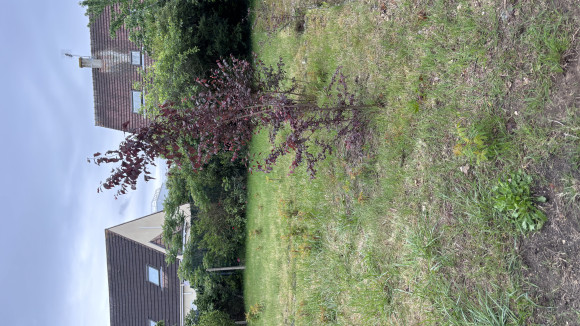 IMG_0633.jpeg