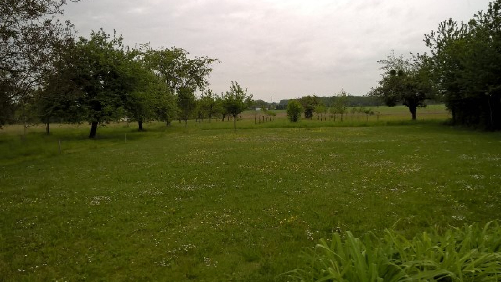 Terrain constructible de 1151m2 à La Chapelle-Saint-Sépulcre