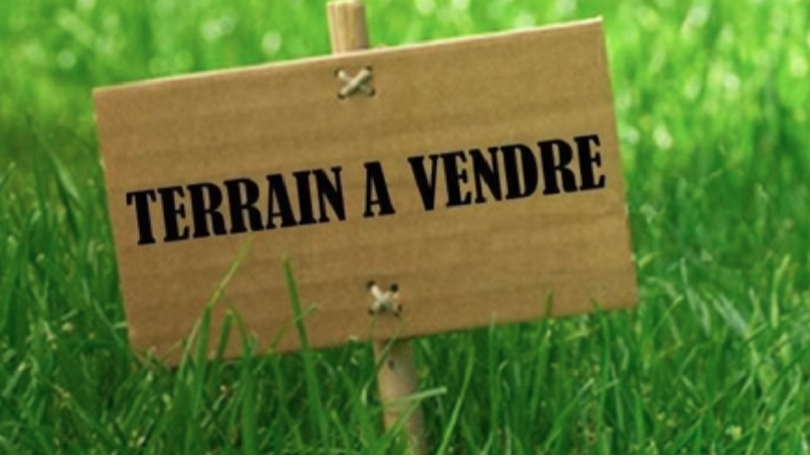 Terrain constructible de 1361m2 à Doué-en-Anjou