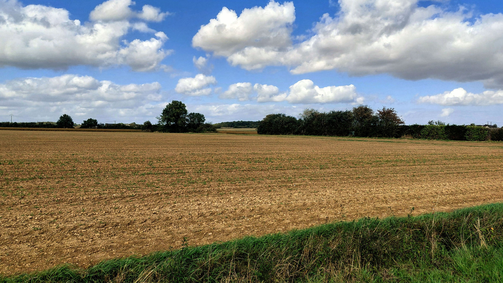 Terrain constructible de 496m2 à Chinon