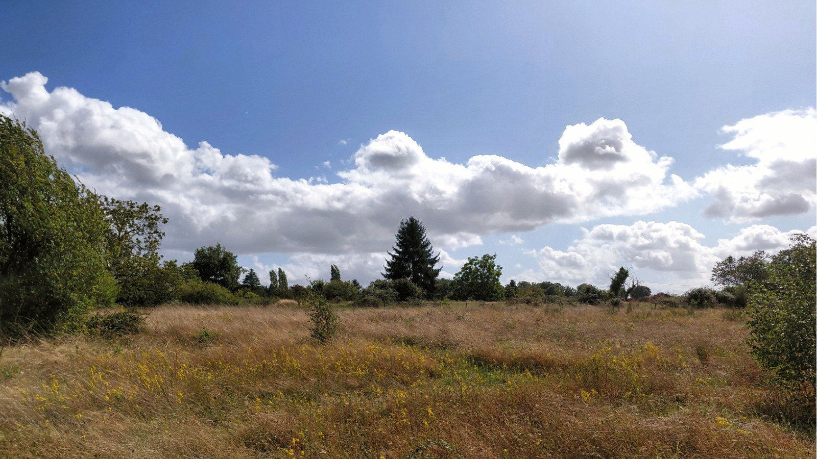 Terrain constructible de 434m2 à Luynes