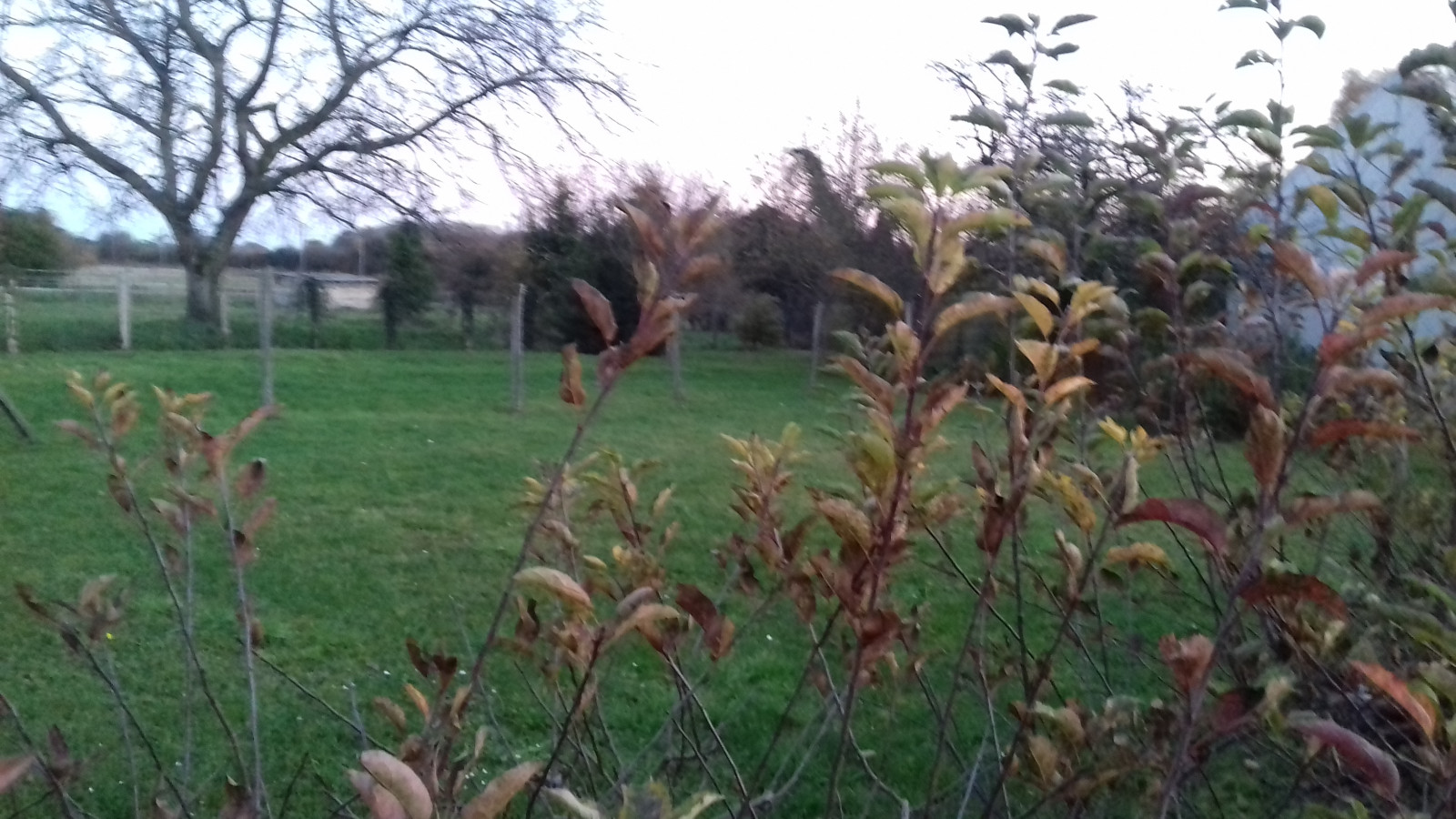 Terrain constructible de 1890m2 à Intville-la-Guétard