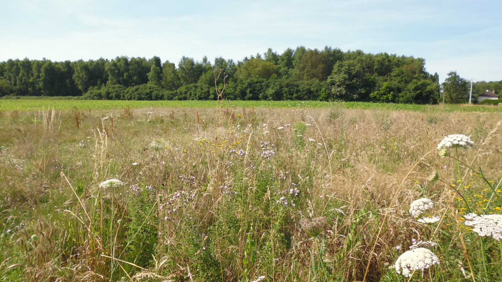 Terrain constructible de 1120m2 à Amilly