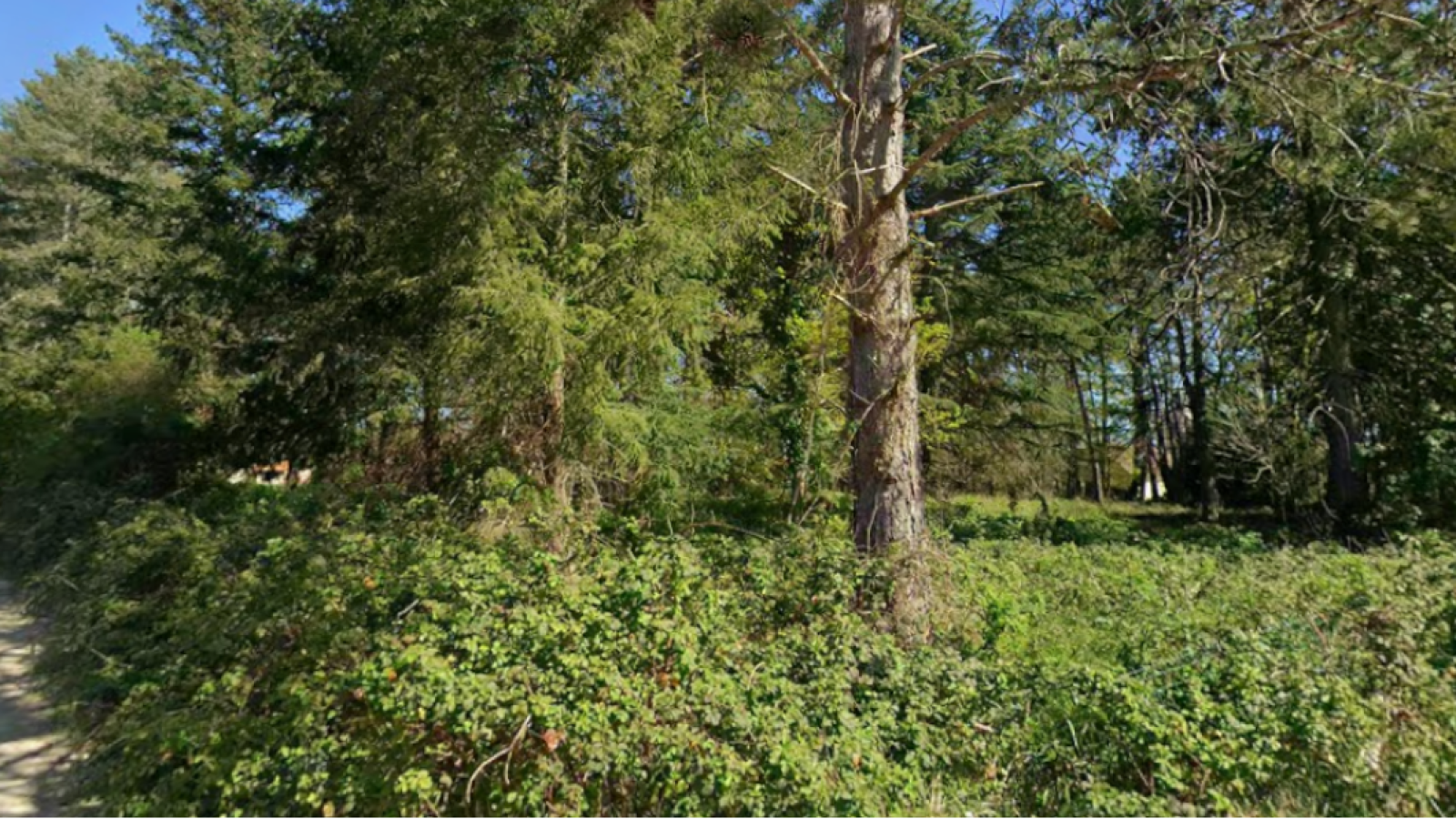 Terrain constructible de 907m2 à Ménestreau-en-Villette