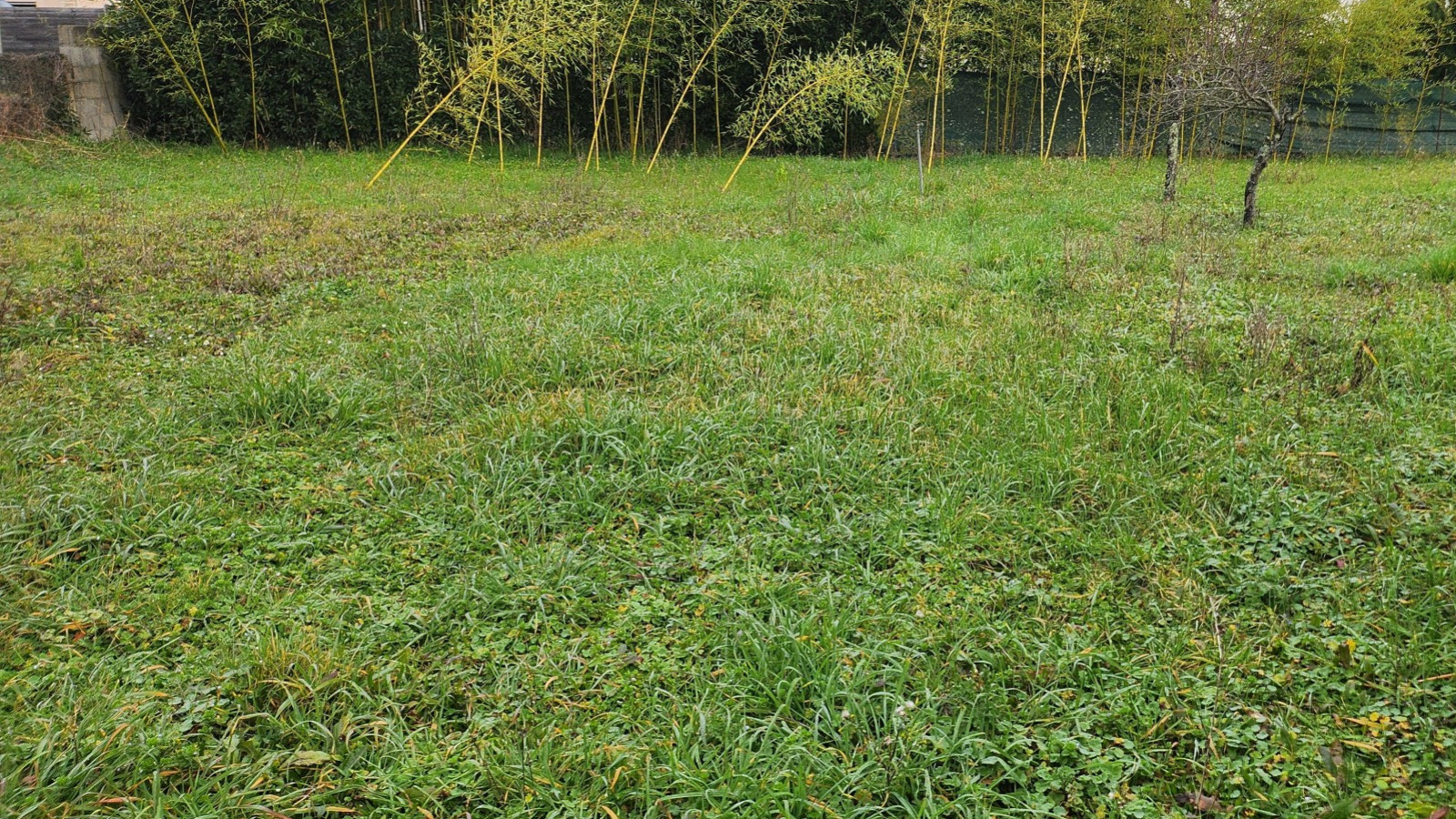 Terrain constructible de 1000m2 à Saint-Avertin