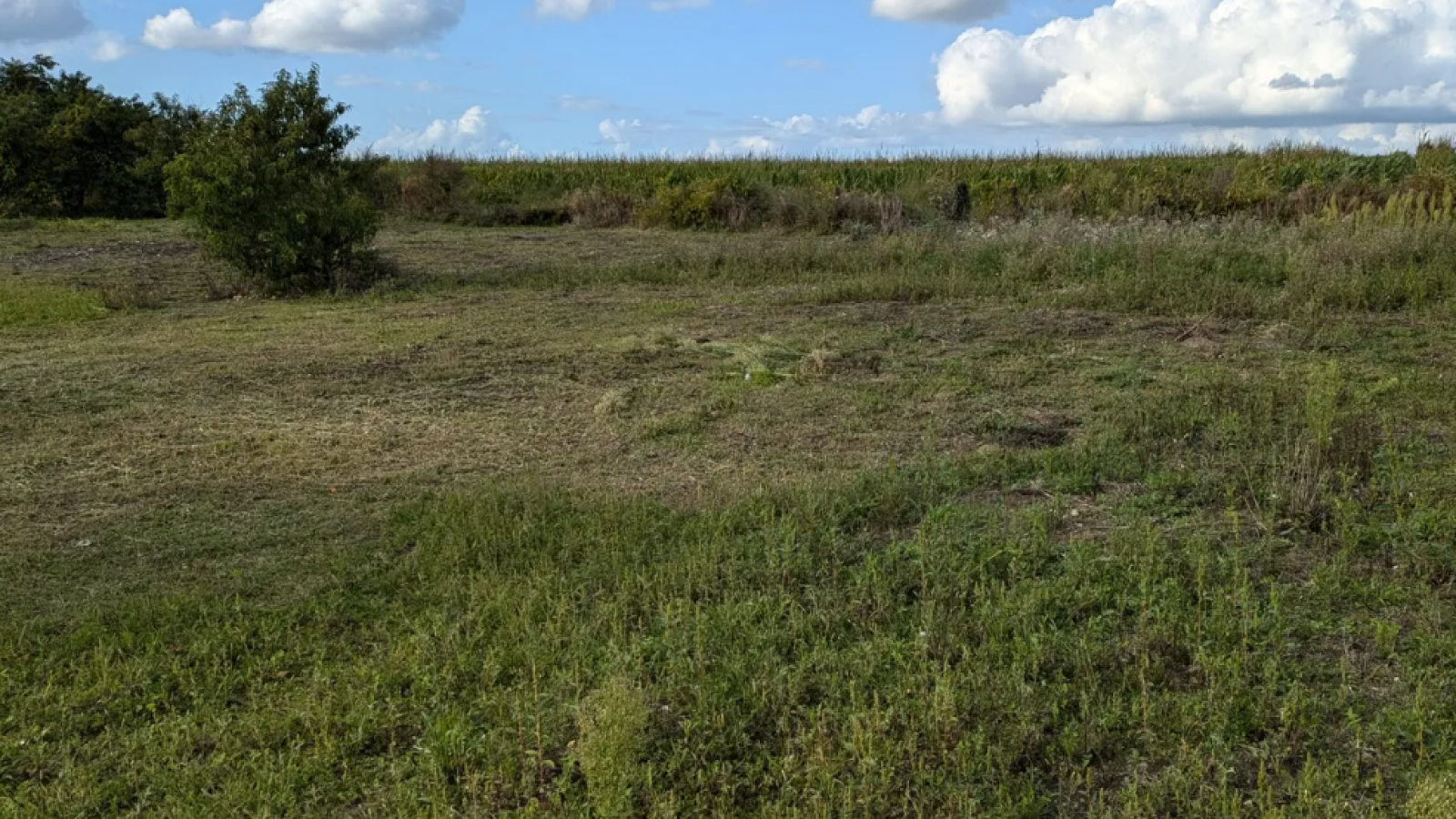Terrain constructible de 641m2 à Beaufort-en-Anjou