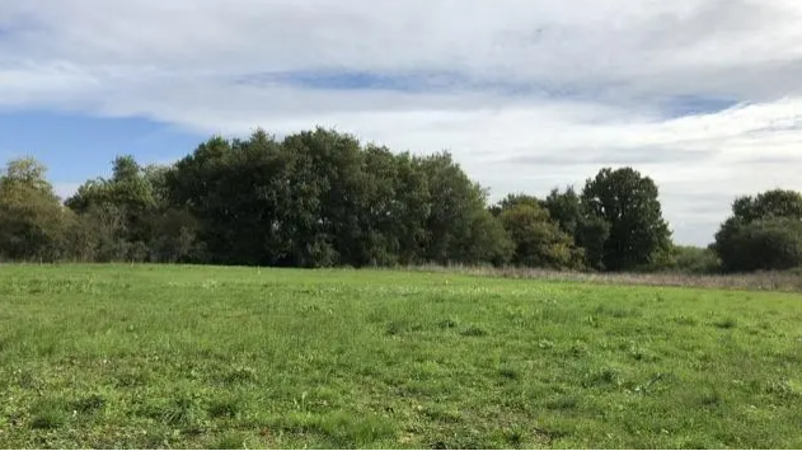 Terrain constructible de 608m2 à Écuillé