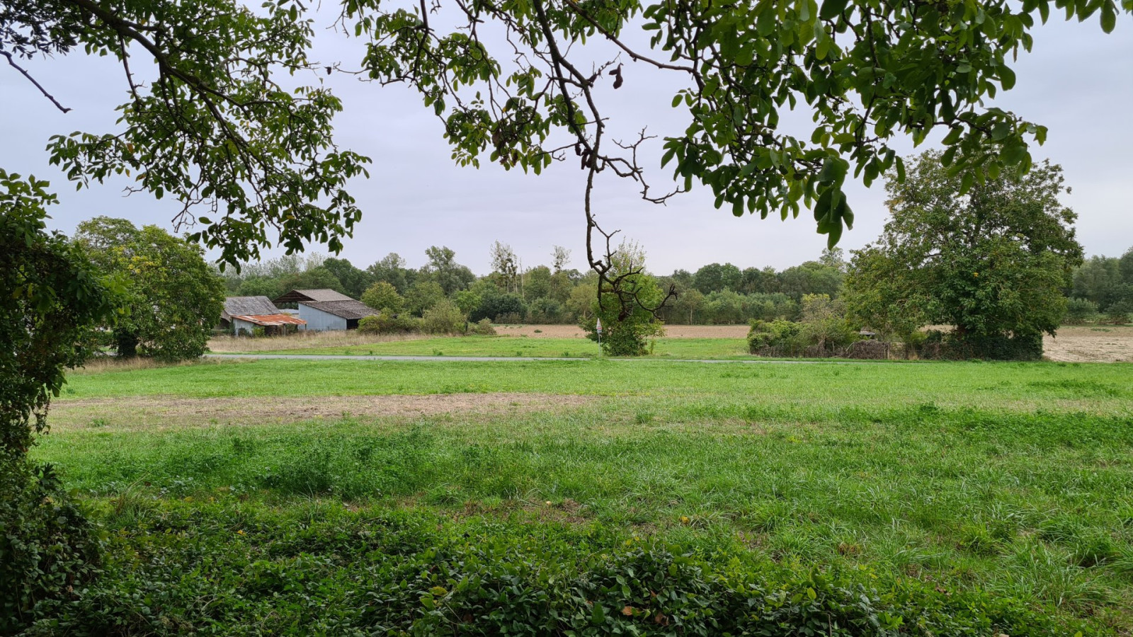 Terrain constructible de 1473m2 à Bourgueil