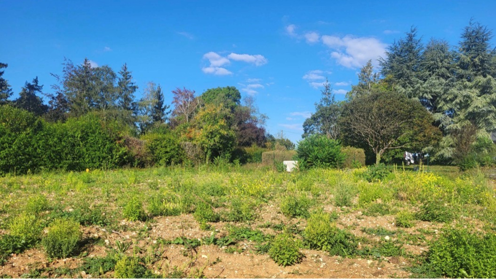 Terrain constructible de 636m2 à Auffargis