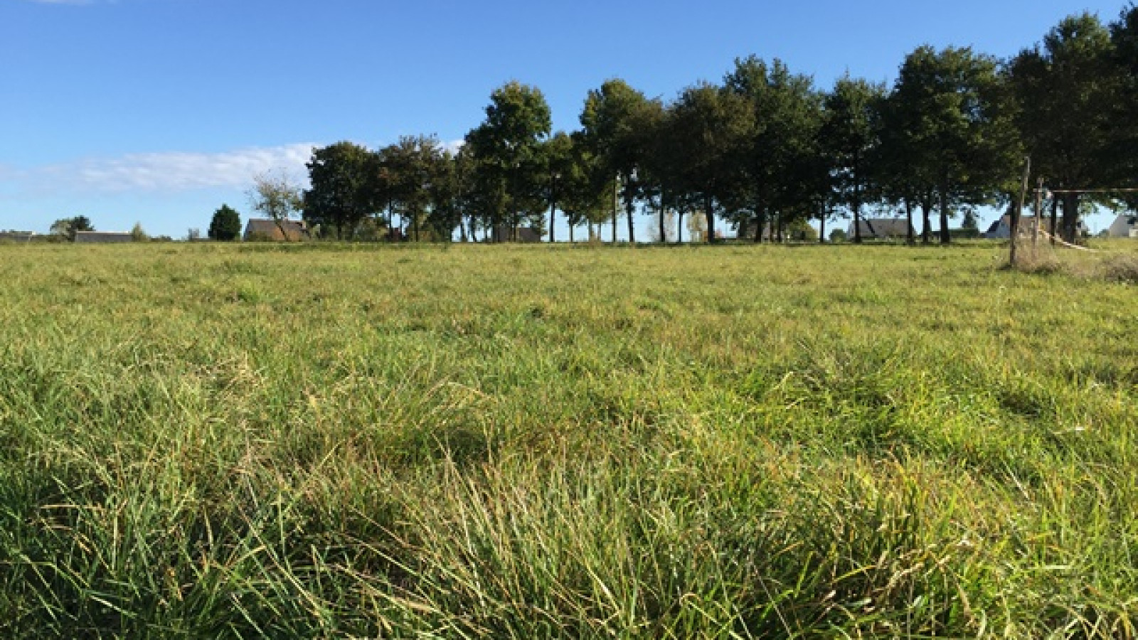 Terrain constructible de 548m2 à Véretz